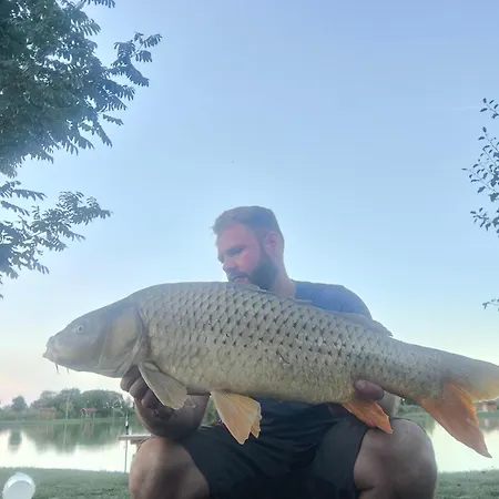 Halzona Bed & Breakfast Balatonszabadi Fürdőtelep