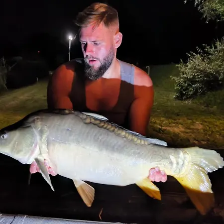 Bed & Breakfast Halzona