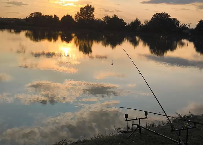 Halzona Balatonszabadi