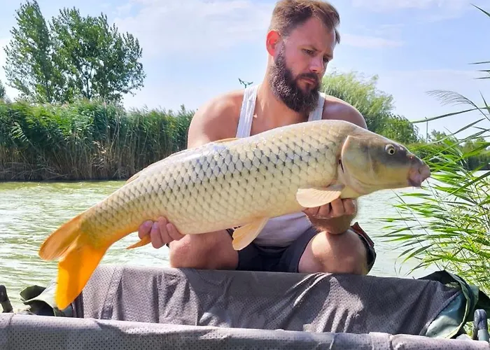 Halzona Bed & Breakfast