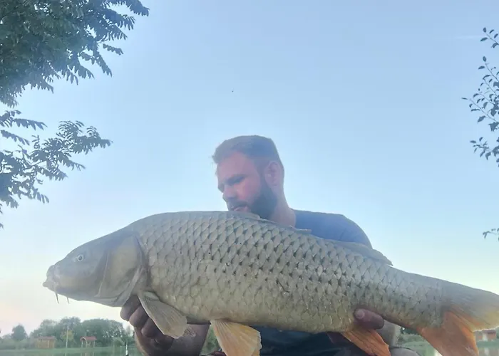 Halzona فندق مبيت وإفطار Balatonszabadi Fürdőtelep